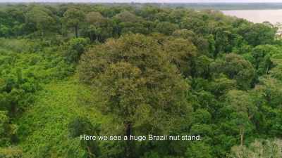 ¶ - Lost Cities of the Amazon