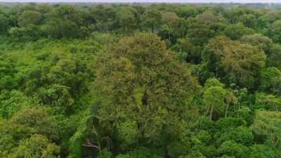 ¶ - Lost Cities of the Amazon