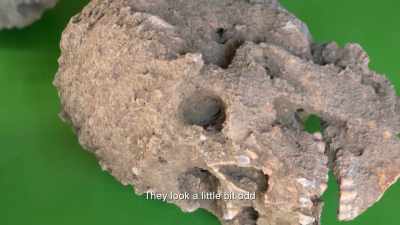 ¶ - Lost Cities of the Amazon