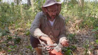 ¶ - Lost Cities of the Amazon
