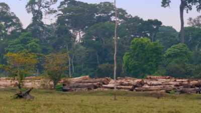 ¶ - Lost Cities of the Amazon