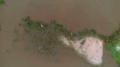 ¶ - Lost Cities of the Amazon