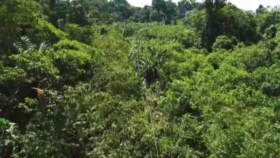 ¶ - Lost Cities of the Amazon