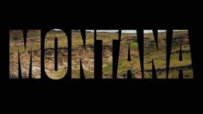 ¶ - Dino Hunters