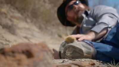 ¶ - Dino Hunters