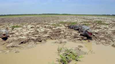 ¶ - Lost Cities of the Amazon