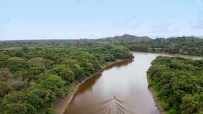 ¶ - Lost Cities of the Amazon