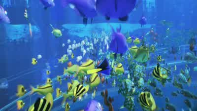 Pardon me. - Finding Dory