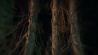 Parish:
This is our genesis. - Sleepy Hollow