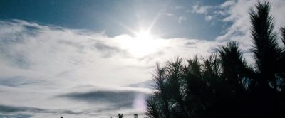 Parker The sun feels good - Frozen