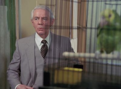 (parrot)
Hello. - The A-Team