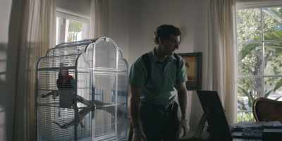 [parrot squawks] - Dexter: Original Sin