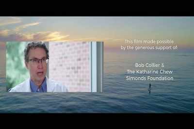 - Part of why brain
imaging is so valuable - Stressed