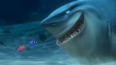 Parties are fun and it's tempting, but we can't because... - Finding Nemo