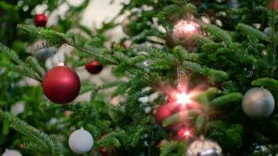 Partnering with farmers, - Six Degrees of Santa