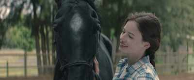 "Partnering." - Black Beauty