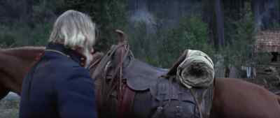Passed! - Paint Your Wagon