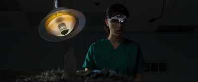 Patient has sustained
blunt force trauma, - Ape X Mecha Ape: New World Order