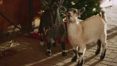  [patrick's phone buzzes] - A Christmas Exchange