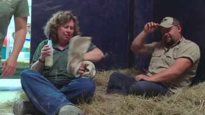 Patty: We'll let him
have a nap for now, - Secrets of the Zoo