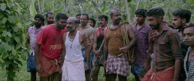 Paul, abusive words will
pollute the surroundings - Jallikattu