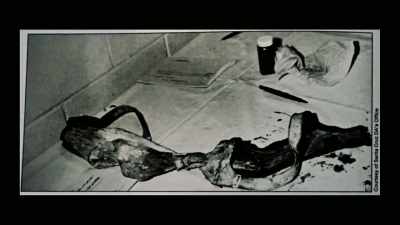 [Paul Dougherty]
In these pictures are - The Co-Ed Killer: Mind of a Monster