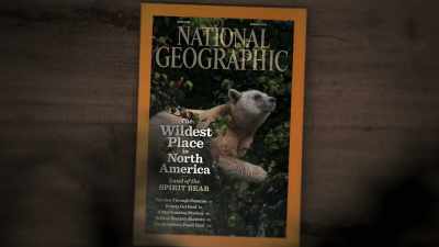[Paul Nicklen] I've never been
naive enough to think - Photographer