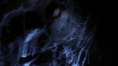PAUL? - Ghost Whisperer