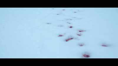 Pay attention. - Death and Other Details