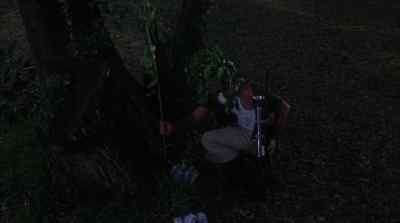 Pay no attention to that bush
moving around there by that tree. - Caddyshack