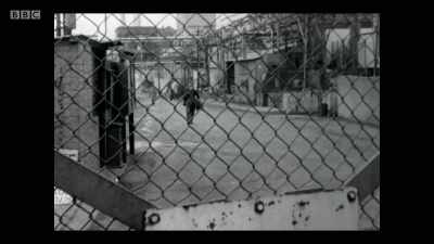 PCB stand for
polychlorinated biphenyls. - Extinction: The Facts