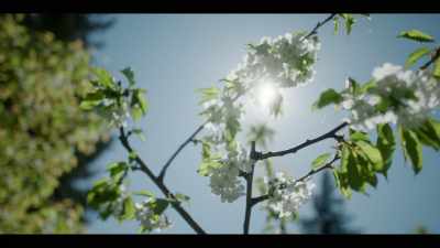 [peaceful music playing] - Earth Abides