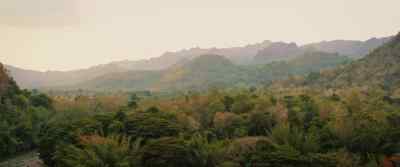 Peaceful oriental music Exotic birdsong - The Price of Money: A Largo Winch Adventure
