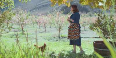 Peaches, apricots, plums, - Recipes for Love and Murder