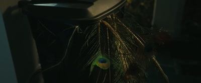 Peacock - About My Father