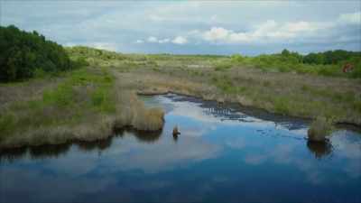 Peat bogs are unstable
marshy landscapes covered - Secrets of the Railways