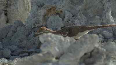 Pectinodon are not only intelligent, - Prehistoric Planet