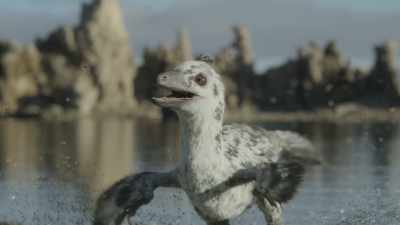 Pectinodon are
particularly intelligent dinosaurs. - Prehistoric Planet