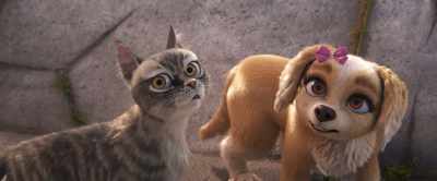 - Pedro, I...
- How is that going to... - Gracie & Pedro: Pets to the Rescue