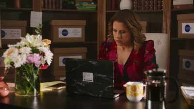 Peek-a-boo! Peek-a-boo! Squawk! - The Jane Mysteries: Too Much to Lose