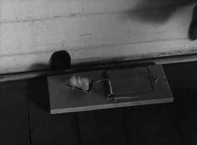 Peep, peep! - It's a Gift