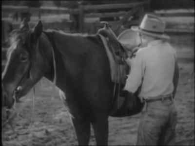 Peewee, you're gonna fly your tail outta here! - West of the Divide