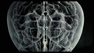 Penfield's Homunculus provided Hebb with a map - The Minds of Men