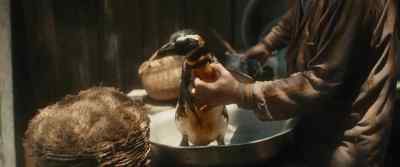 - [penguin coos]
- Wait, I know. - My Penguin Friend