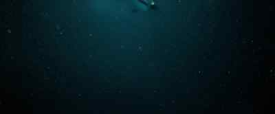 Penguins are uniquely adapted
to dive and hunt at great depth. - Our Universe