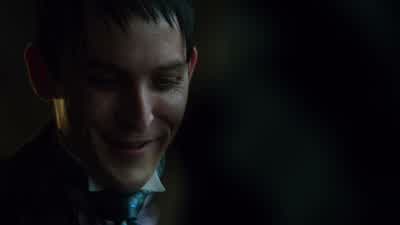 Penguins... - Gotham