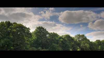 [pensive music playing] - Entitled