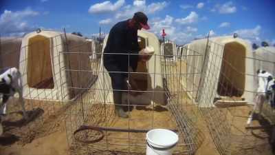People who are working
in slaughterhouses - Why on Earth