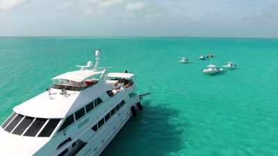 People aren't staying on yachts,
at least, most aren't, - Fyre