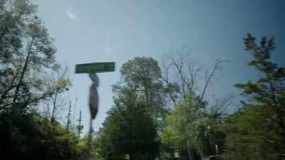 People were blue collar, - If I Leave Here Tomorrow: A Film About Lynyrd Skynyrd